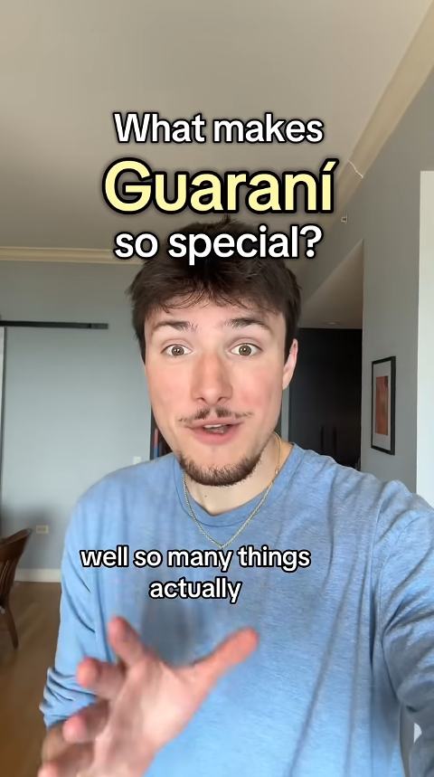 El arte de hablar guaraní